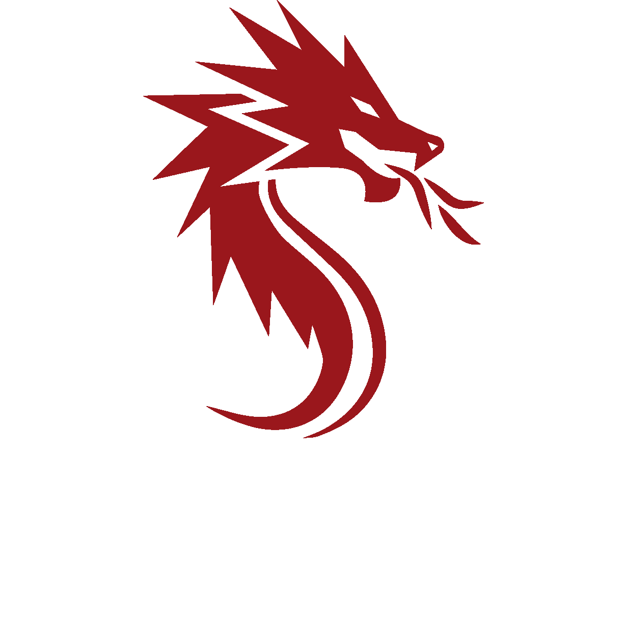 Dragon Corp Logo